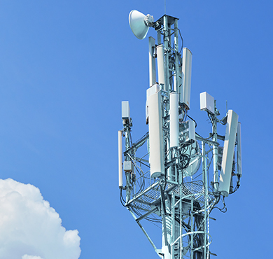 ��վ�����Ը�֪Ӧ��